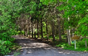 Long Driveway up to Residence - Country homes for sale and luxury real estate including horse farms and property in the Caledon and King City areas near Toronto