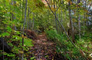Thomson Lake Paradise, Erin, Ontario, Canada - Country homes for sale and luxury real estate including horse farms and property in the Caledon and King City areas near Toronto