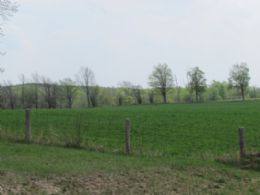 West Field - Country homes for sale and luxury real estate including horse farms and property in the Caledon and King City areas near Toronto