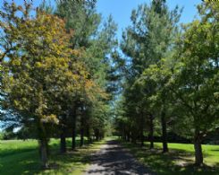 Kingcrest, King, King, Ontario, Canada - Country homes for sale and luxury real estate including horse farms and property in the Caledon and King City areas near Toronto