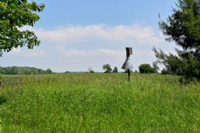Hay Field - Country homes for sale and luxury real estate including horse farms and property in the Caledon and King City areas near Toronto