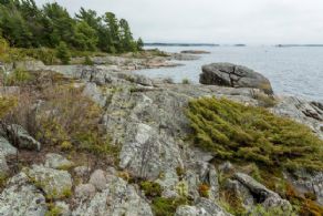 View of Western Shoreline - Country homes for sale and luxury real estate including horse farms and property in the Caledon and King City areas near Toronto