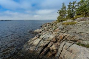 View to North - Country homes for sale and luxury real estate including horse farms and property in the Caledon and King City areas near Toronto