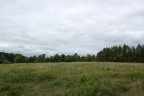 Front Field - Country homes for sale and luxury real estate including horse farms and property in the Caledon and King City areas near Toronto