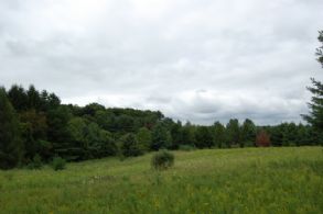North Field - Country homes for sale and luxury real estate including horse farms and property in the Caledon and King City areas near Toronto