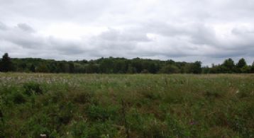 Front Field - Country homes for sale and luxury real estate including horse farms and property in the Caledon and King City areas near Toronto