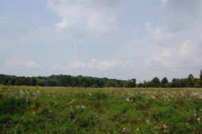Front Field - Country homes for sale and luxury real estate including horse farms and property in the Caledon and King City areas near Toronto
