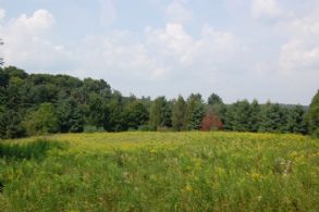 North Field - Country homes for sale and luxury real estate including horse farms and property in the Caledon and King City areas near Toronto