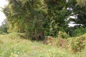 Fence Row Between Fields - Country homes for sale and luxury real estate including horse farms and property in the Caledon and King City areas near Toronto