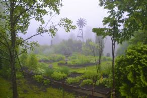 Herb Garden - Country homes for sale and luxury real estate including horse farms and property in the Caledon and King City areas near Toronto