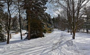 Driveway - Country homes for sale and luxury real estate including horse farms and property in the Caledon and King City areas near Toronto