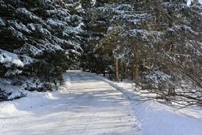 Driveway - Country homes for sale and luxury real estate including horse farms and property in the Caledon and King City areas near Toronto