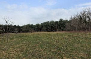 Top Meadow - Country homes for sale and luxury real estate including horse farms and property in the Caledon and King City areas near Toronto