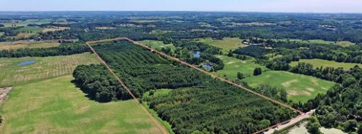 48.5 Acres, Schomberg, King  - Country homes for sale and luxury real estate including horse farms and property in the Caledon and King City areas near Toronto