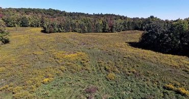 50 Acres, Forks of The Credit, Caledon, Ontario, Canada - Country homes for sale and luxury real estate including horse farms and property in the Caledon and King City areas near Toronto