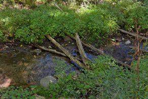 Clear Stream - Country homes for sale and luxury real estate including horse farms and property in the Caledon and King City areas near Toronto