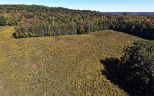 50 Acres, Forks of The Credit, Caledon, Ontario, Canada - Country homes for sale and luxury real estate including horse farms and property in the Caledon and King City areas near Toronto