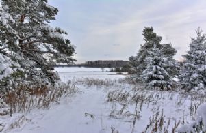 35 Acres, South Mono, Ontario - Country homes for sale and luxury real estate including horse farms and property in the Caledon and King City areas near Toronto