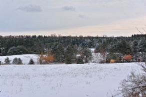 35 Acres, South Mono - Country Homes for sale and Luxury Real Estate in Caledon and King City including Horse Farms and Property for sale near Toronto