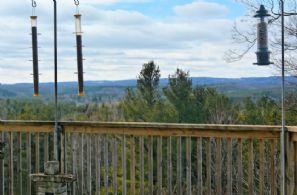 Caledon Hill Top, Finnerty Sideroad, Caledon, Ontario - Country homes for sale and luxury real estate including horse farms and property in the Caledon and King City areas near Toronto