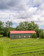 60 Acres, Hockley Valley, Ontario - Country homes for sale and luxury real estate including horse farms and property in the Caledon and King City areas near Toronto