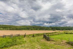 60 Acres, Hockley Valley, Ontario - Country homes for sale and luxury real estate including horse farms and property in the Caledon and King City areas near Toronto