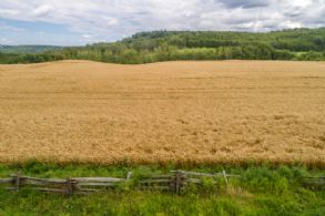 60 Acres, Hockley Valley - Country Homes for sale and Luxury Real Estate in Caledon and King City including Horse Farms and Property for sale near Toronto