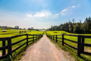 Victoria Meadows, Uxbridge, Ontario - Country homes for sale and luxury real estate including horse farms and property in the Caledon and King City areas near Toronto