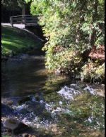 River - Country homes for sale and luxury real estate including horse farms and property in the Caledon and King City areas near Toronto