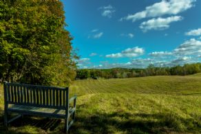 Countryside Views - Country homes for sale and luxury real estate including horse farms and property in the Caledon and King City areas near Toronto