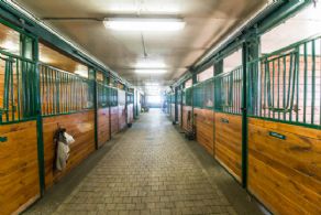 Main Aisle in Barn - Country homes for sale and luxury real estate including horse farms and property in the Caledon and King City areas near Toronto
