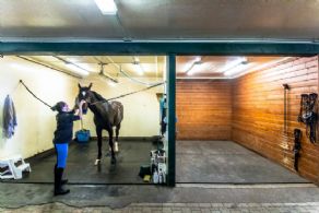 Wash Stall - Country homes for sale and luxury real estate including horse farms and property in the Caledon and King City areas near Toronto