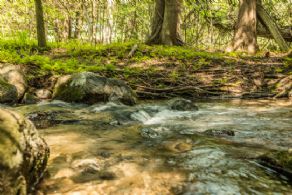 Everflowing Stream - Country homes for sale and luxury real estate including horse farms and property in the Caledon and King City areas near Toronto