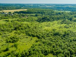10 Acre Lot, Caledon, Ontario - Country homes for sale and luxury real estate including horse farms and property in the Caledon and King City areas near Toronto