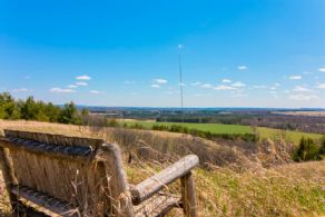 Picnic Area View - Country homes for sale and luxury real estate including horse farms and property in the Caledon and King City areas near Toronto