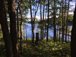 38 Webber Island, Georgian Bay, Ontario - Country homes for sale and luxury real estate including horse farms and property in the Caledon and King City areas near Toronto