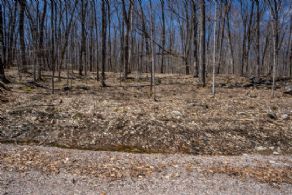 Lot 12 Interior Getaway, Carling Bay, Carling, Ontario - Country homes for sale and luxury real estate including horse farms and property in the Caledon and King City areas near Toronto