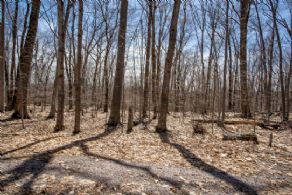 Lot 2 Premium View of the Bay, Carling Bay, Carling, Ontario - Country homes for sale and luxury real estate including horse farms and property in the Caledon and King City areas near Toronto
