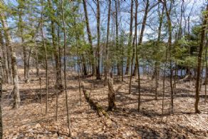 Carling Cove Estates $135,000 - $750,000, Carling Bay, Carling, Ontario - Country homes for sale and luxury real estate including horse farms and property in the Caledon and King City areas near Toronto