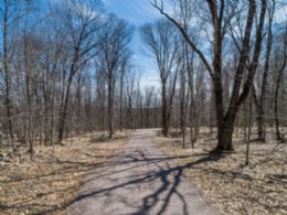 Carling Cove Estates $135,000 - $750,000, Carling Bay, Carling, Ontario - Country homes for sale and luxury real estate including horse farms and property in the Caledon and King City areas near Toronto