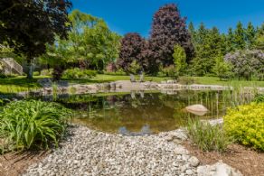Pond - Country homes for sale and luxury real estate including horse farms and property in the Caledon and King City areas near Toronto