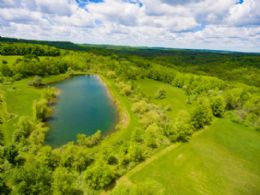 Pond Looking West - Country homes for sale and luxury real estate including horse farms and property in the Caledon and King City areas near Toronto