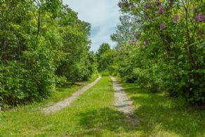 Magical, Private Quiet Retreat, Mulmur, Ontario - Country homes for sale and luxury real estate including horse farms and property in the Caledon and King City areas near Toronto