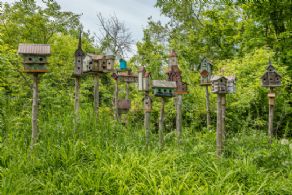 Magical, Private Quiet Retreat, Mulmur, Ontario - Country homes for sale and luxury real estate including horse farms and property in the Caledon and King City areas near Toronto