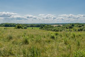 Views - Country homes for sale and luxury real estate including horse farms and property in the Caledon and King City areas near Toronto