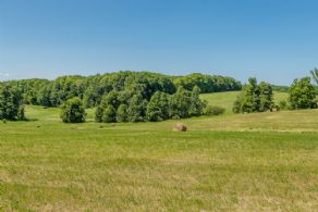 Rolling Hills Farm, King - Country Homes for sale and Luxury Real Estate in Caledon and King City including Horse Farms and Property for sale near Toronto