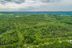 Mulmur Woodlot, Near Mansfield - Country homes for sale and luxury real estate including horse farms and property in the Caledon and King City areas near Toronto