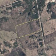 Mulmur Woodlot - Country Homes for sale and Luxury Real Estate in Caledon and King City including Horse Farms and Property for sale near Toronto