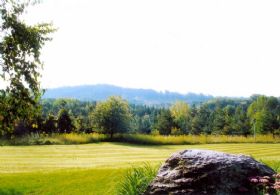 South and West View - Country homes for sale and luxury real estate including horse farms and property in the Caledon and King City areas near Toronto