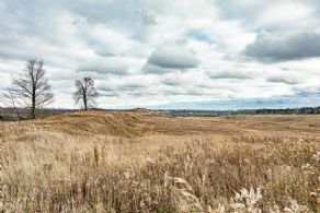 7 Acre Building Lot, Erin, Ontario - Country homes for sale and luxury real estate including horse farms and property in the Caledon and King City areas near Toronto